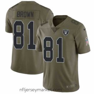 Superb Nike Raiders #81 Tim Brown Olive Mens Stitched NFL Limited 2017 Salute To Service Jersey